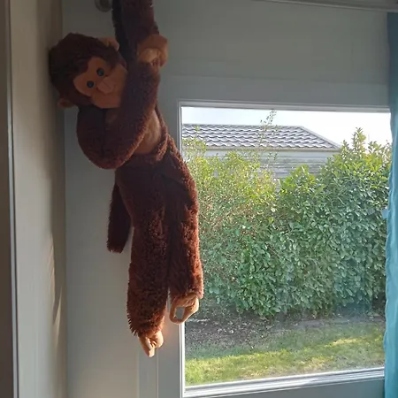 Stacaravan Jungle Kids Nr 425 Nieuw Prikkelarm Autismevriendelijk Chalet Bredene